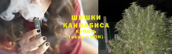 стаф Сафоново