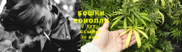 стаф Сафоново