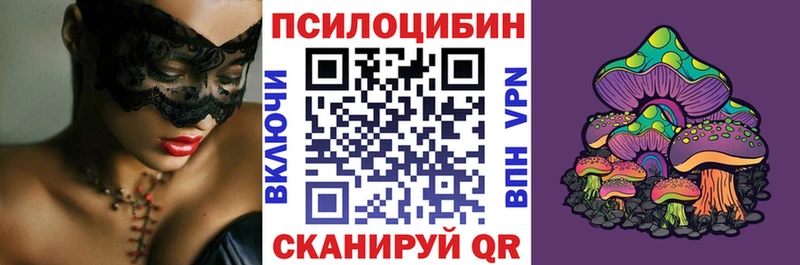 Купить где  Кизел  Галлюциногенные грибы прущие грибы 